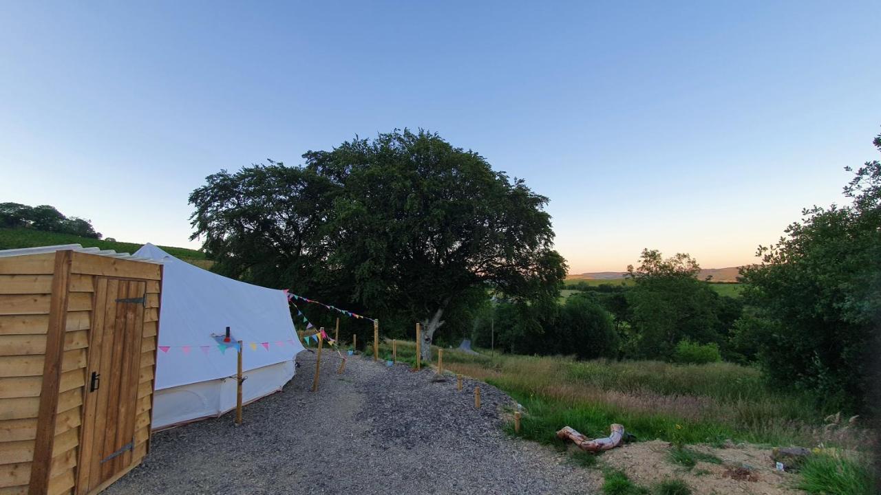 Calon Y Goedwig Glamping Otel Llandovery Dış mekan fotoğraf