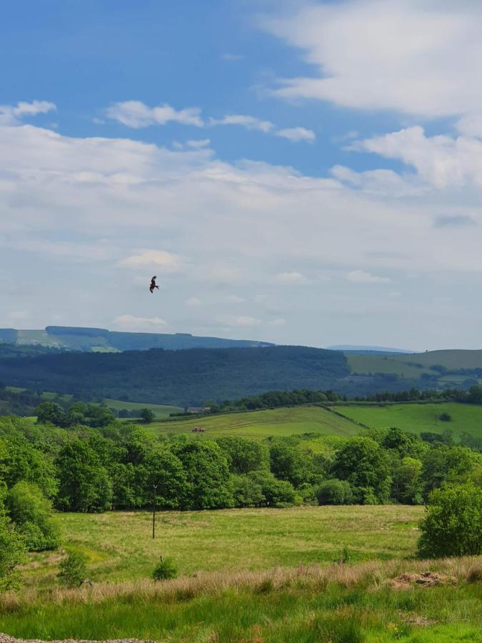 Calon Y Goedwig Glamping Otel Llandovery Dış mekan fotoğraf