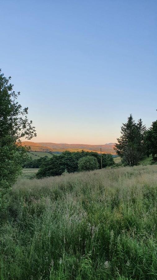Calon Y Goedwig Glamping Otel Llandovery Dış mekan fotoğraf