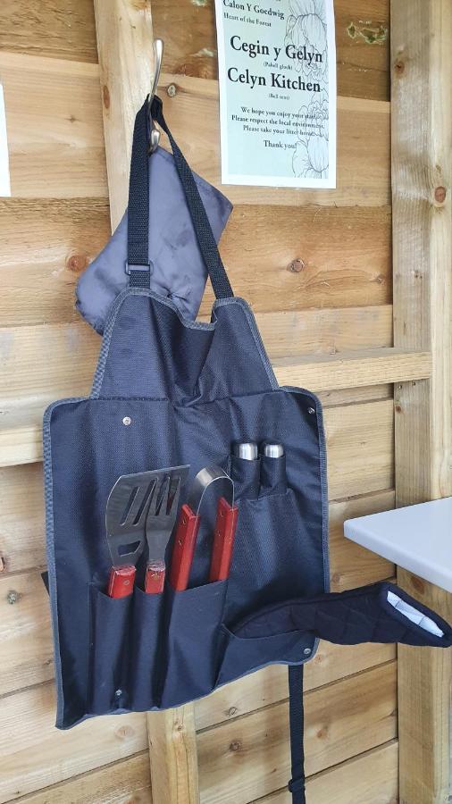 Calon Y Goedwig Glamping Otel Llandovery Dış mekan fotoğraf