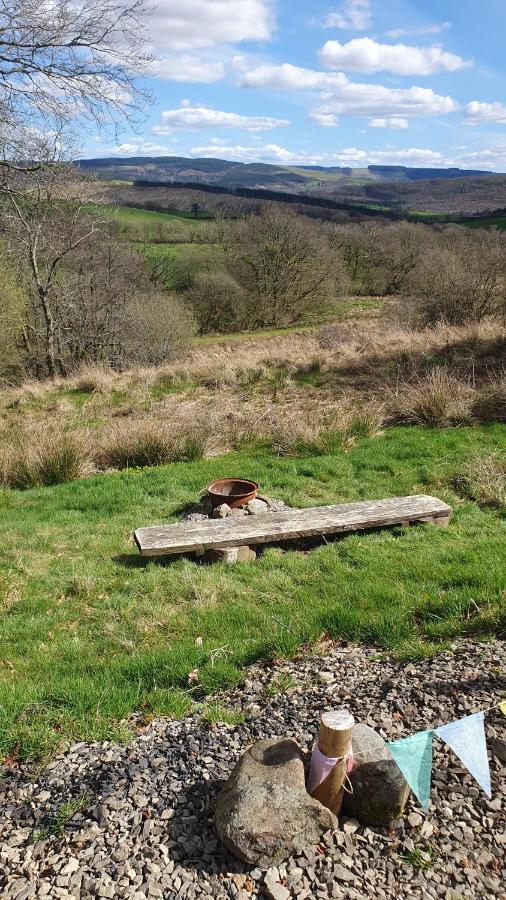 Calon Y Goedwig Glamping Otel Llandovery Dış mekan fotoğraf