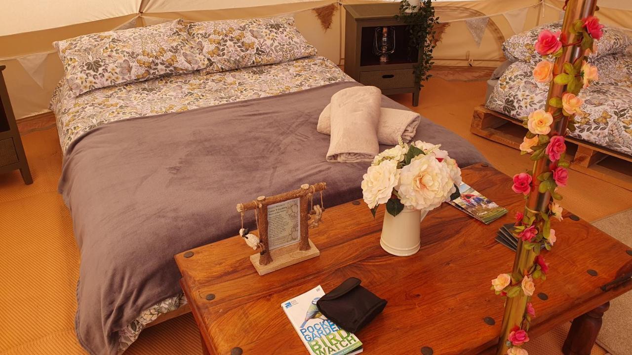 Calon Y Goedwig Glamping Otel Llandovery Dış mekan fotoğraf