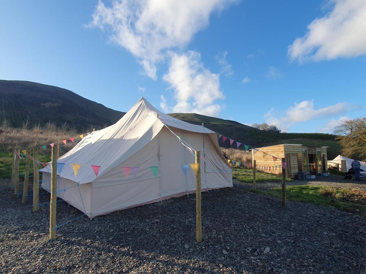 Calon Y Goedwig Glamping Otel Llandovery Dış mekan fotoğraf