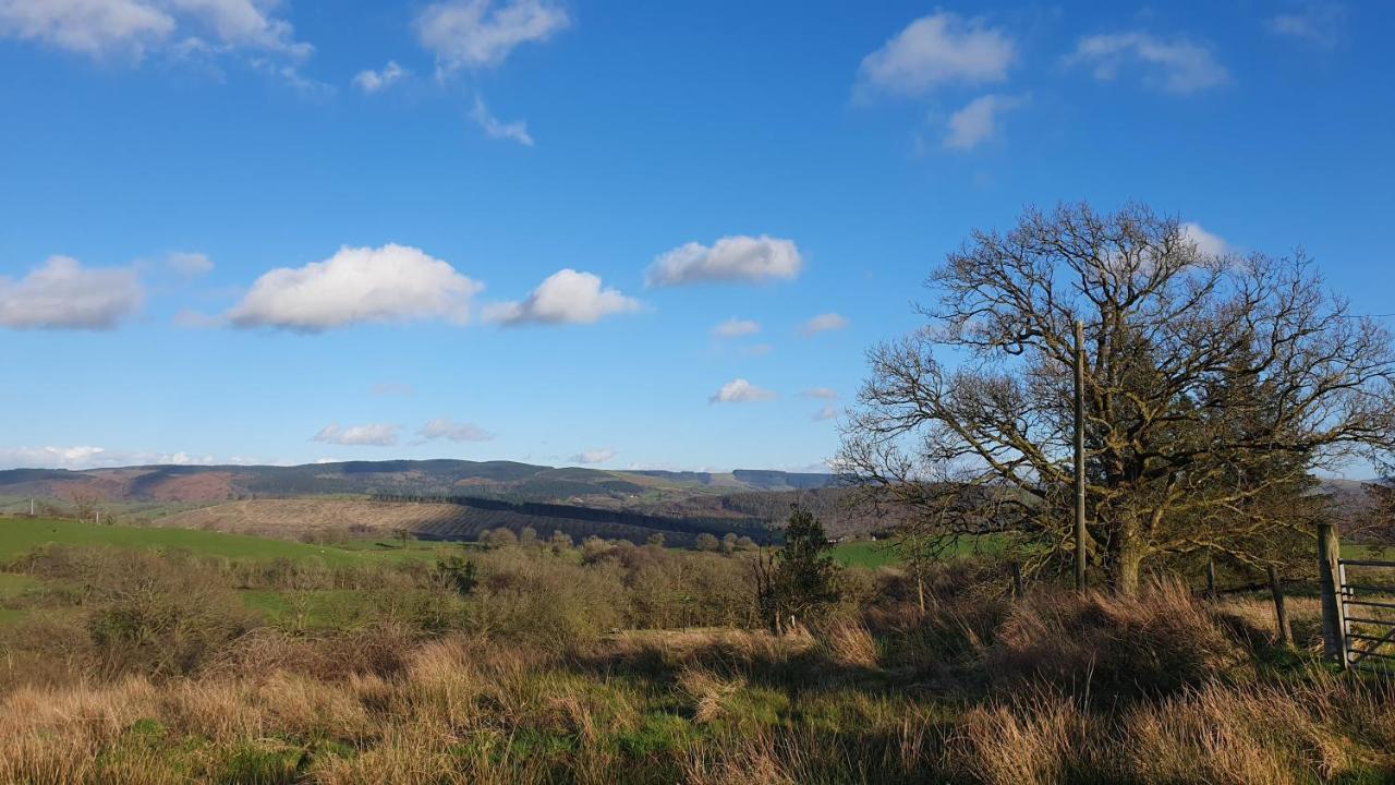 Calon Y Goedwig Glamping Otel Llandovery Dış mekan fotoğraf
