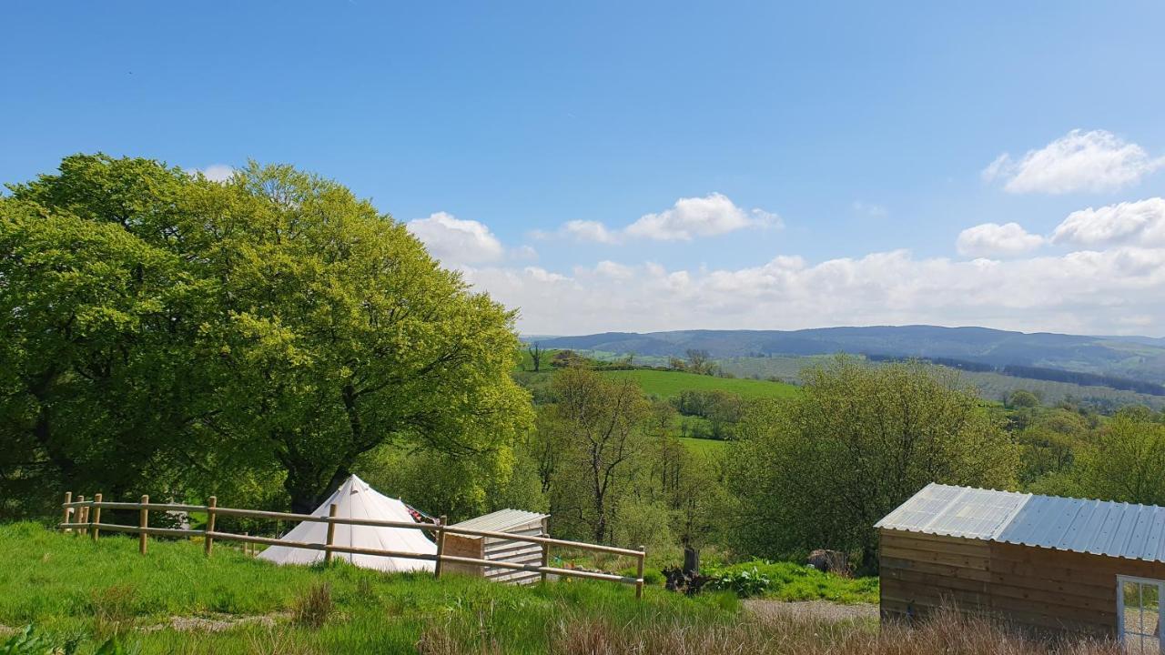 Calon Y Goedwig Glamping Otel Llandovery Dış mekan fotoğraf
