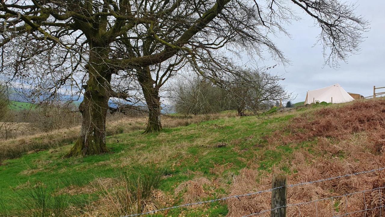 Calon Y Goedwig Glamping Otel Llandovery Dış mekan fotoğraf