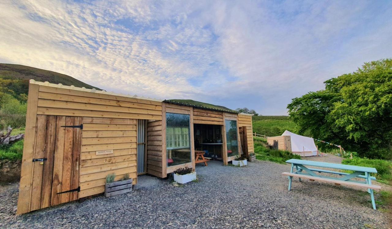 Calon Y Goedwig Glamping Otel Llandovery Dış mekan fotoğraf