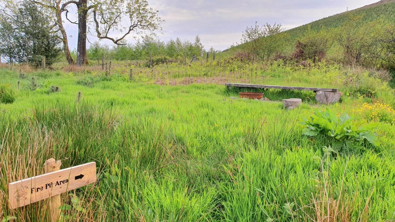 Calon Y Goedwig Glamping Otel Llandovery Dış mekan fotoğraf