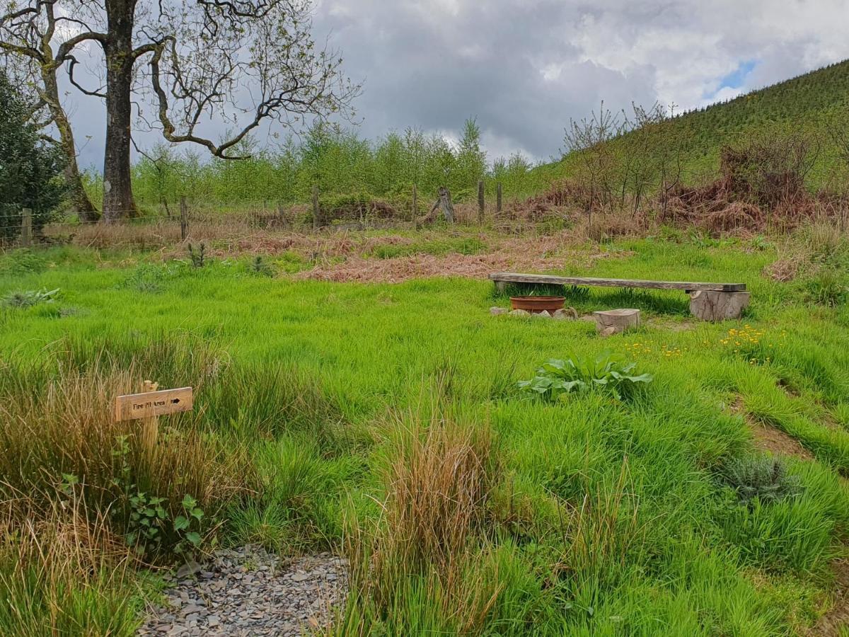 Calon Y Goedwig Glamping Otel Llandovery Dış mekan fotoğraf