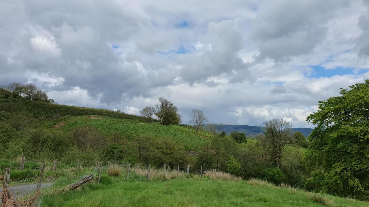 Calon Y Goedwig Glamping Otel Llandovery Dış mekan fotoğraf