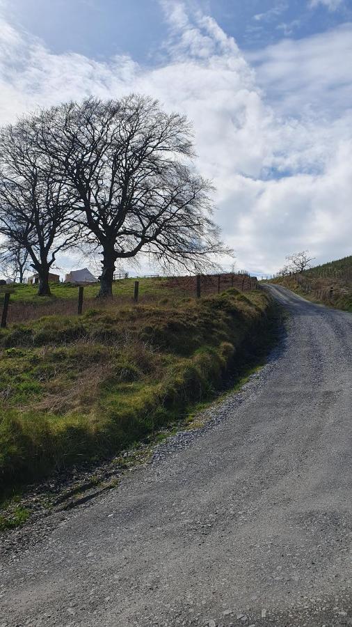 Calon Y Goedwig Glamping Otel Llandovery Dış mekan fotoğraf