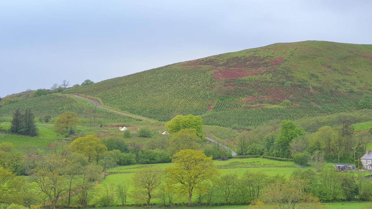 Calon Y Goedwig Glamping Otel Llandovery Dış mekan fotoğraf