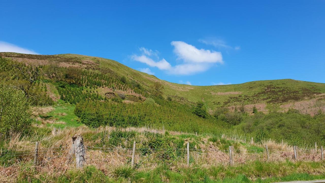 Calon Y Goedwig Glamping Otel Llandovery Dış mekan fotoğraf