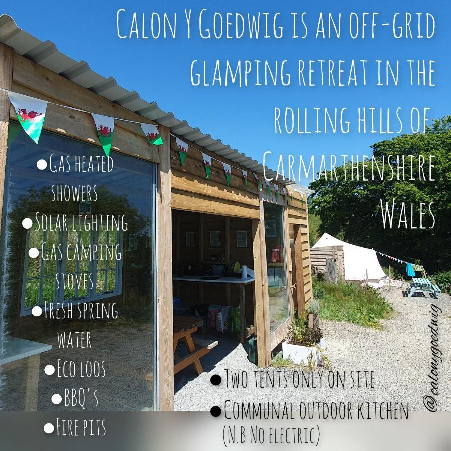 Calon Y Goedwig Glamping Otel Llandovery Dış mekan fotoğraf