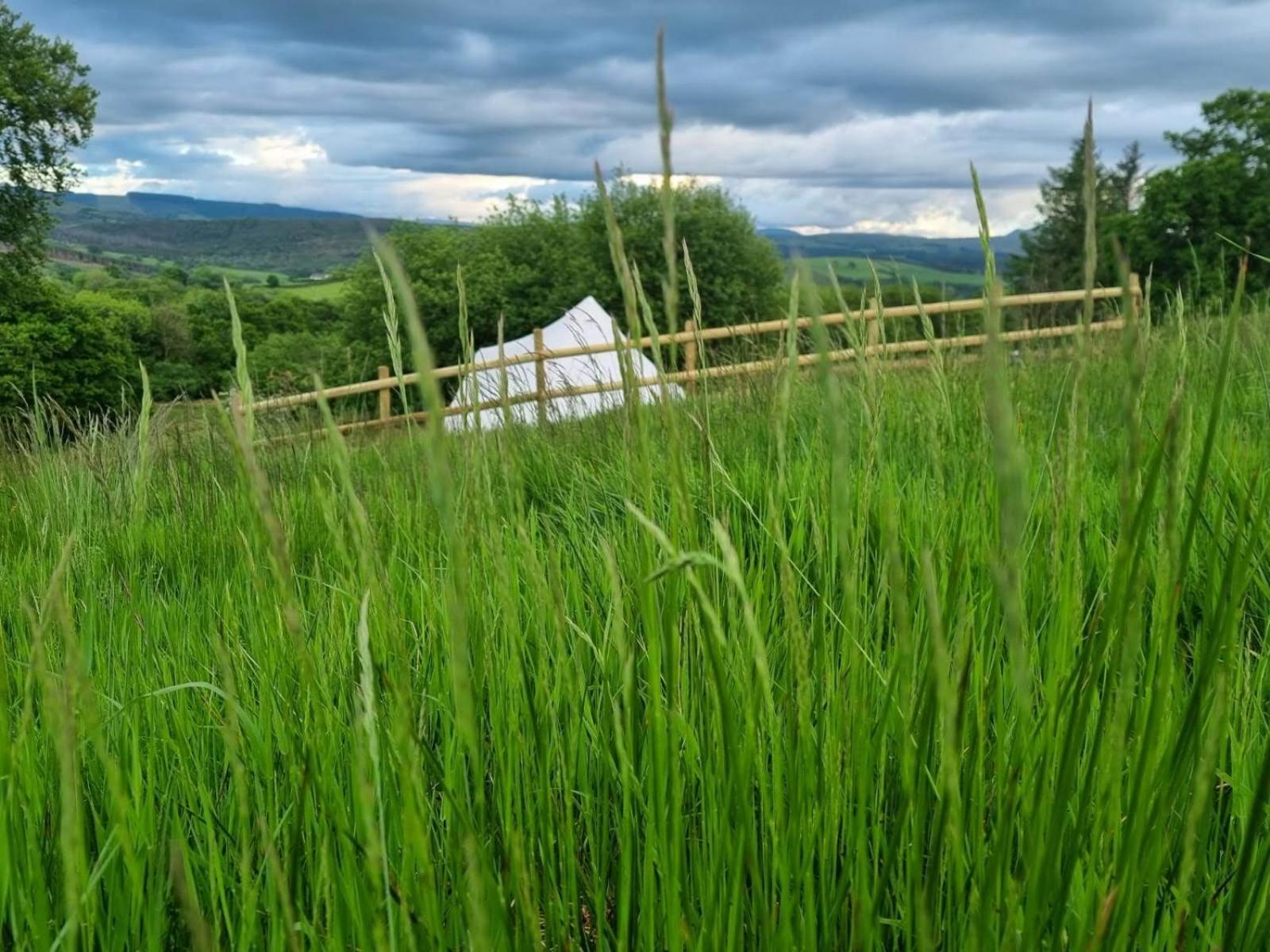 Calon Y Goedwig Glamping Otel Llandovery Dış mekan fotoğraf